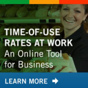 Time of use rates at work; an online tool for bussiness