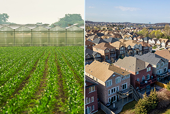 A tale of two regions