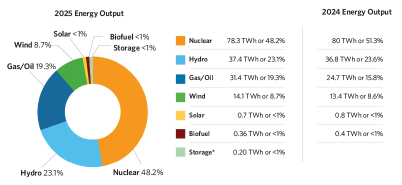 Energy Output by Fuel Type 2025