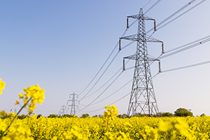 GIF category - Transmission Distribution Co-ordination