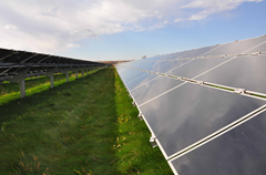 Solar panels in a field