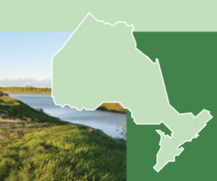 River set amongst green gas with Ontario map overlay