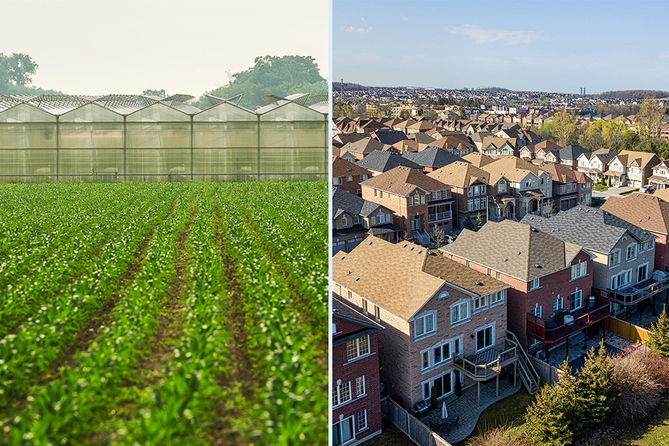 A tale of two regions - collage