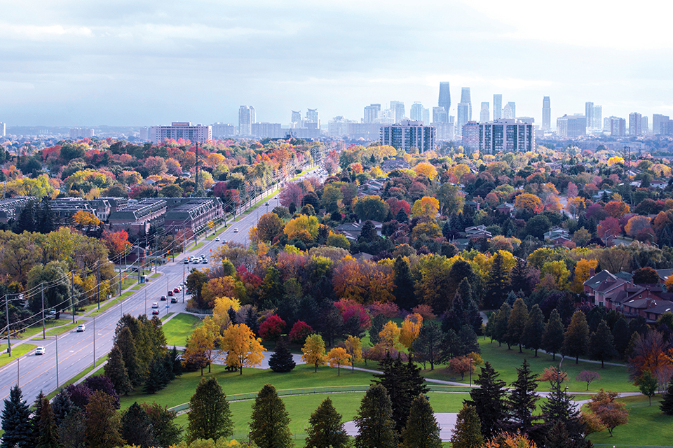 2020 annual planning outlook at a glance