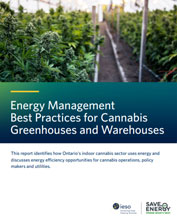 cover of Cannabis study